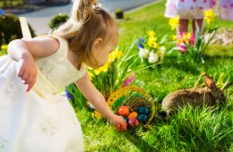 AdobeStock 49866268