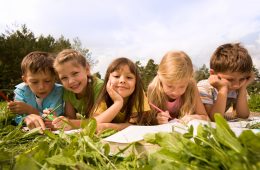 AdobeStock 16591249