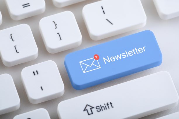Top Ideas to Help You Create a Christmas Newsletter 8 newsletter
