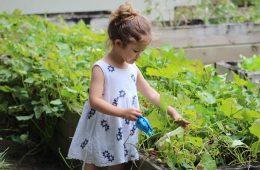 young girl gardening