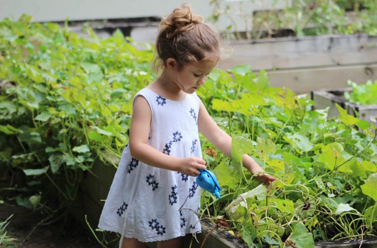 Gardening Tips for Beginners 8 young girl gardening