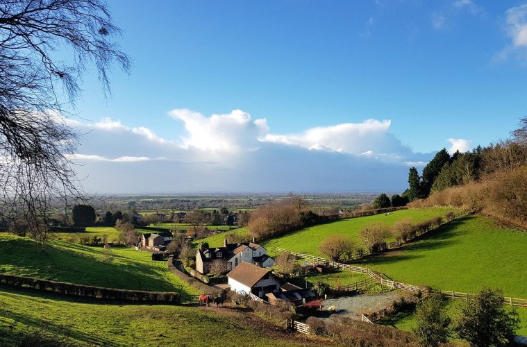 cheshire