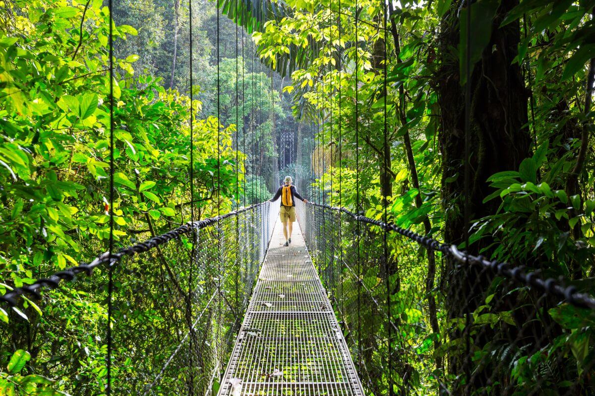 Latin America Holidays: Best Countries to Visit and Quick Highlights for Each 9 rainforest in costa rica