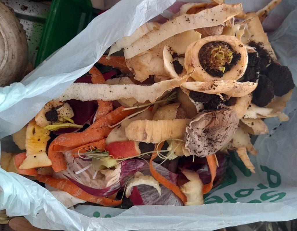 Vegetable peelings and coffee grounds collected in a bag.