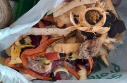 Vegetable peelings and coffee grounds collected in a bag.