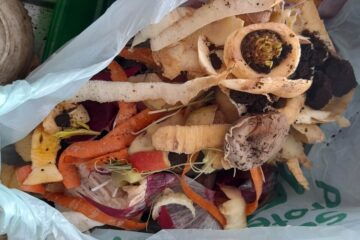 Vegetable peelings and coffee grounds collected in a bag.